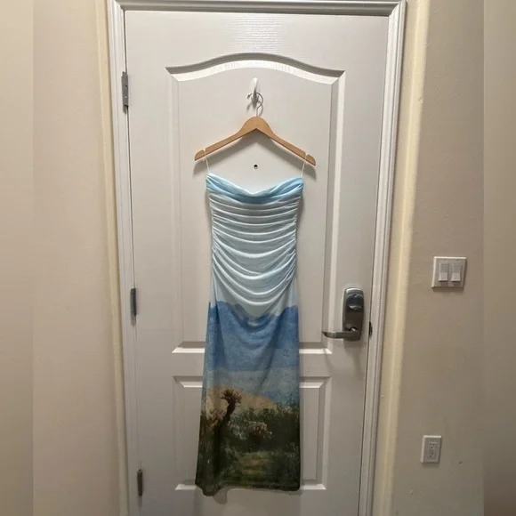 Significant Other Sura Strapless Midi Dress in Arizona Print Size 4 NWT - Picture 4 of 7